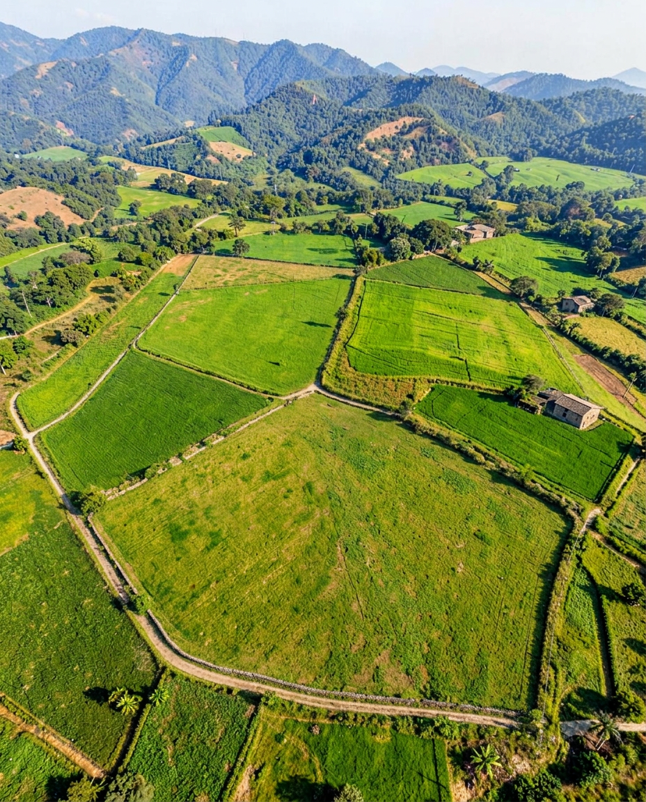 Land