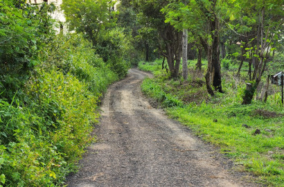 Mountain & waterfall view 1 Acre agriculture land for sale near Raddison Blu Resort 10km from Karjat.