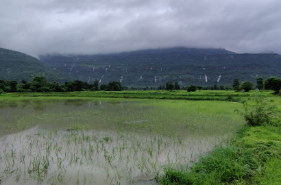 One of the best scenic location in Karjat. Picturesque view of waterfalls & forest.