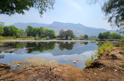 Lake, Mountain, Waterfall, Forest & Fog view Agriculture FarmLands for sale Just 4km from Karjat City.