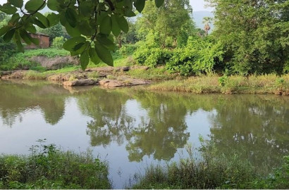 Rivertouch 13 acre agriculture land for sale 10 km from Karjat.